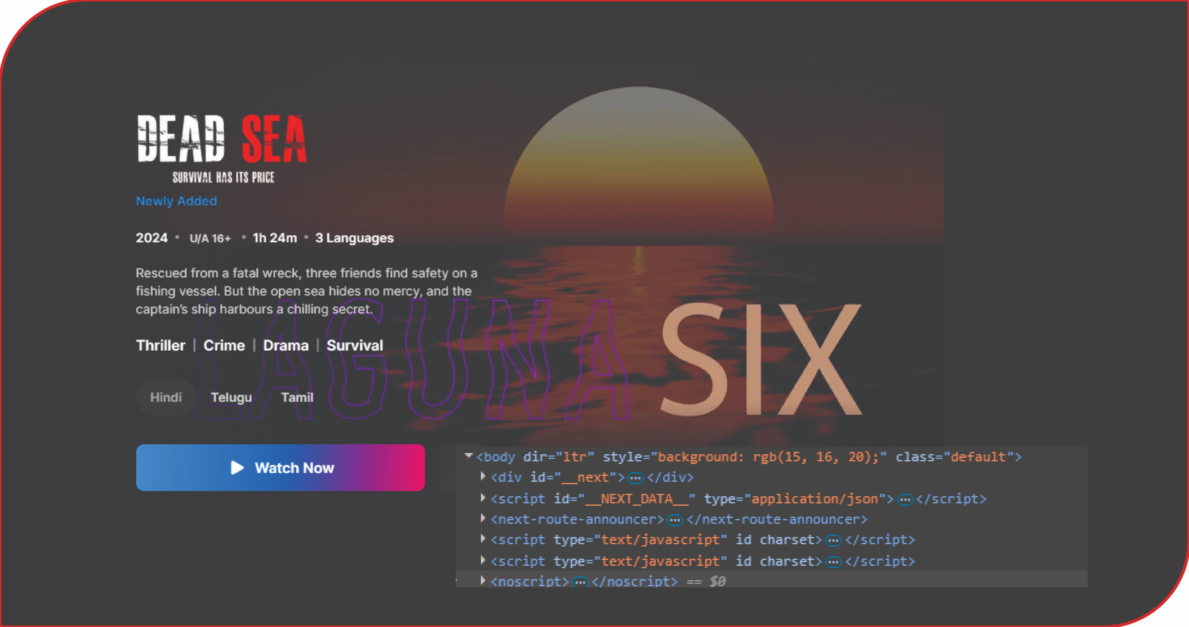 Understanding Viewer Engagement Across Streaming Content Platforms